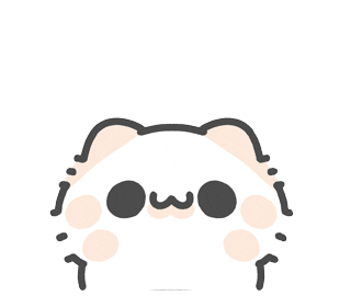 Animated Cat